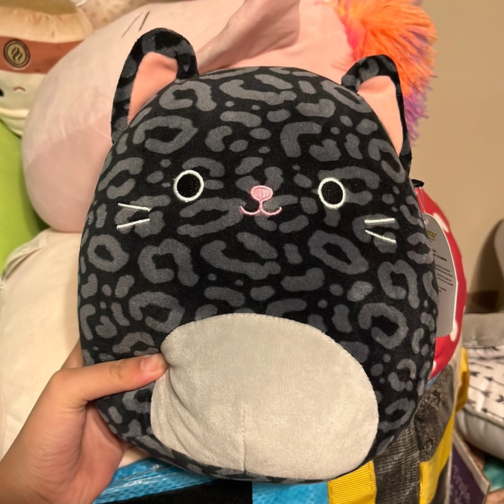 xiomara squishmallow 8in